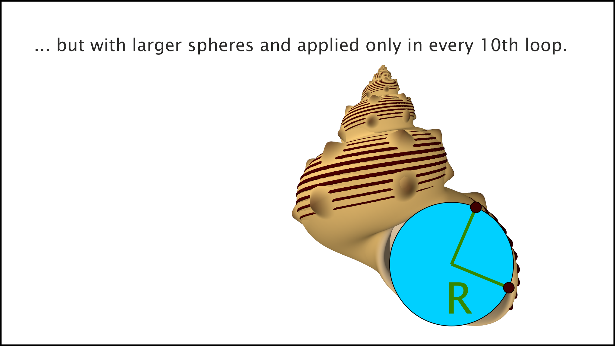 Snail shells; decorative stripes Snail shells; decorative stripes