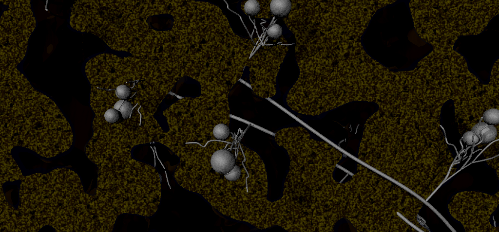 Soil, soil pores and fungal hyphae