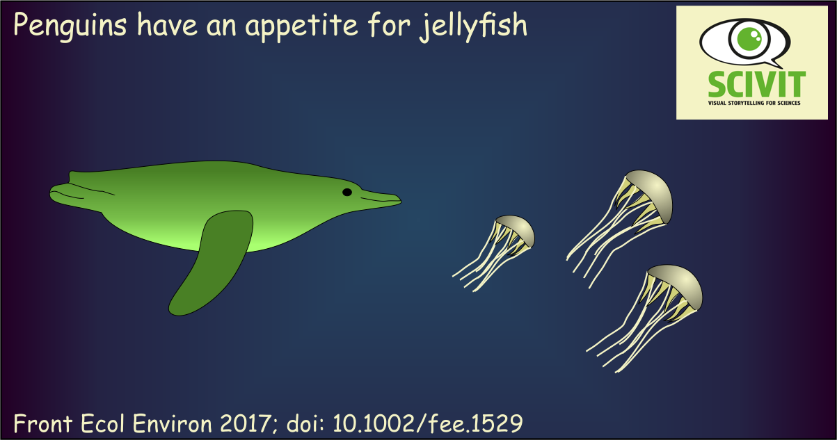 Jellyfish and penguins Jellyfish and penguins