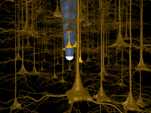 Neuronal implant