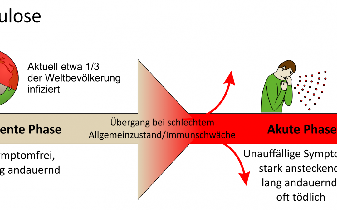 Scivit goes 2D