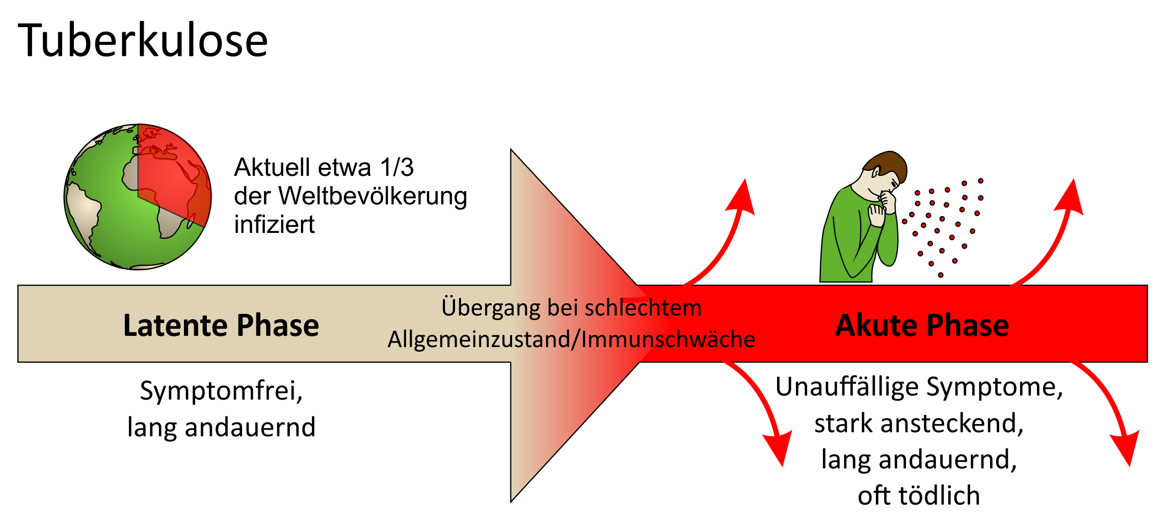 Krankheitsverlauf bei Tuberkulose