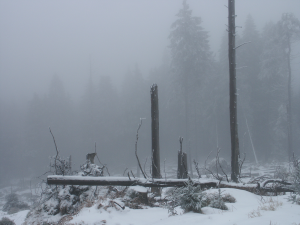 Winter am Brocken