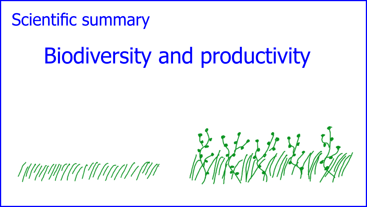 Filme für die Wissenschaftskommunikation - Scivit: Biodiversity and Productivity