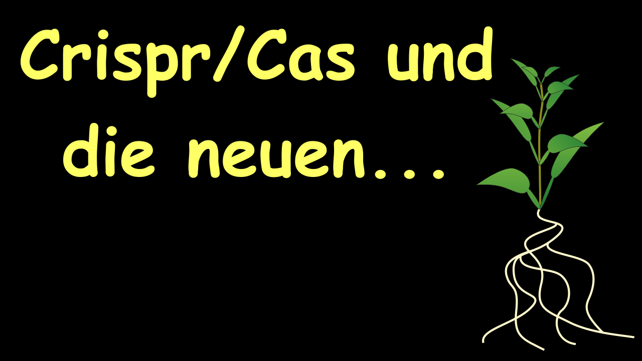 Filme für die Wissenschaftskommunikation - Scivit: Crispr/Cas und die neuen Grenzfälle der Grünen Gentechnik