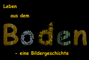 Leben aus dem Boden