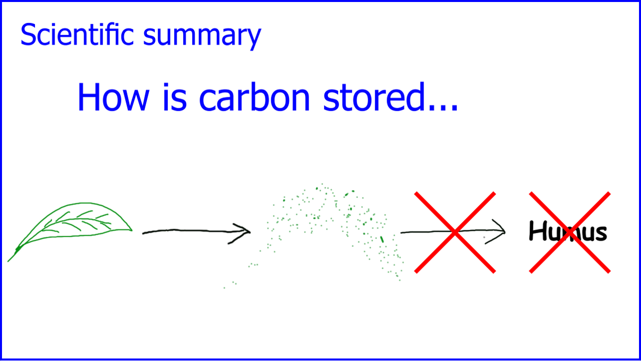 Filme für die Wissenschaftskommunikation - Scivit: How is carbon stored in the soil?