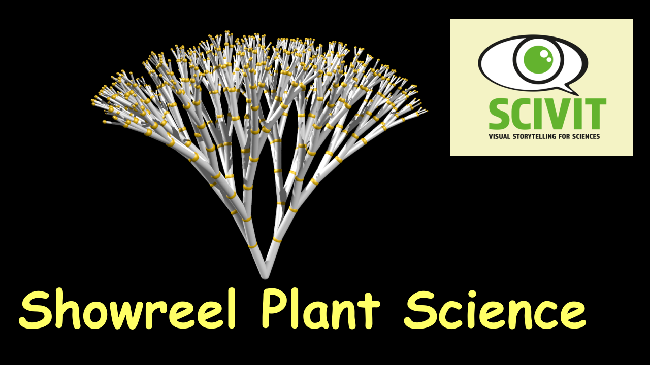 Filme für die Wissenschaftskommunikation - Scivit: Showreel Plant Science