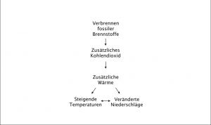 Räumliche Anordnung der Atmungskette