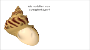 Wie modelliert man Schneckenhäuser?