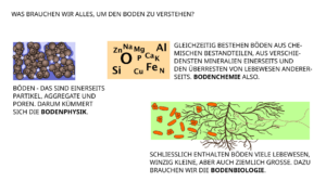 Bodenkunde: Bodenphysik, Bodenchemie, Bodenbiologie