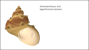 Wie modelliert man Schneckenhäuser?
