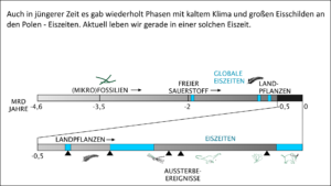 Eiszeiten