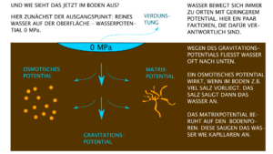 Gravitationspotential, osmotisches Potential, Matrixpotential