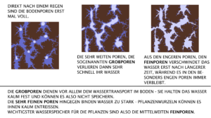 Füllungszustand von Bodenporen