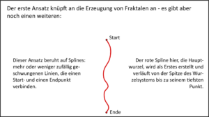 Modellierung Hauptwurzel