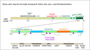 Die Warmzeit in Jura und Kreide