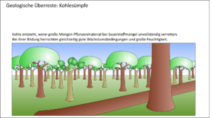 Kohlevorkommen als Indikator für warm-feuchtes Klima