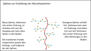 Modellierung Seitenwurzeln