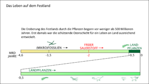 Der zeitliche Rahmen: Entstehung des Lebens, Leben auf dem Festland