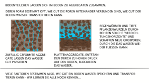Bodenporen und Bodenaggregate