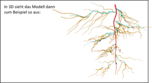 3D-Modell eines Hauptwurzelsystems