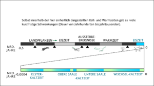 Die modernen Eiszeiten