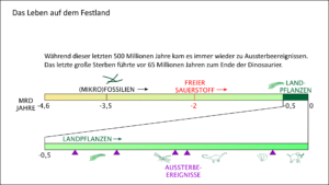 Der zeitliche Rahmen: Entstehung des Lebens, Leben auf dem Festland, Aussterbeereignisse