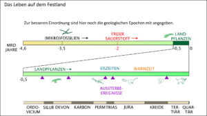 Der zeitliche Rahmen: Entstehung des Lebens, Leben auf dem Festland, Aussterbeereignisse