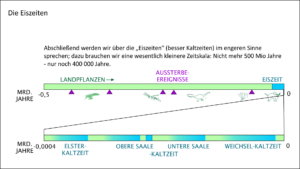 Der zeitliche Rahmen: Entstehung des Lebens, Leben auf dem Festland, Aussterbeereignisse, Eiszeiten