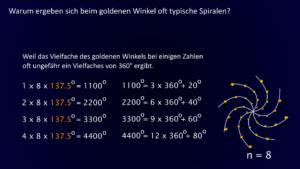 Spiralenbildung beim goldenen Winkel