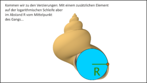 Wie modelliert man Schneckenhäuser?