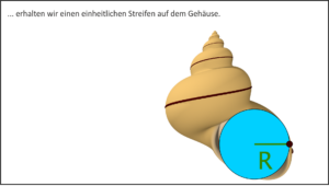 Wie modelliert man Schneckenhäuser?