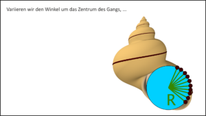 Wie modelliert man Schneckenhäuser?