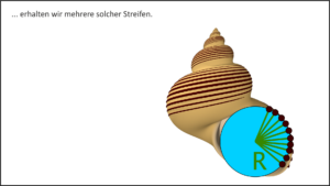 Wie modelliert man Schneckenhäuser?