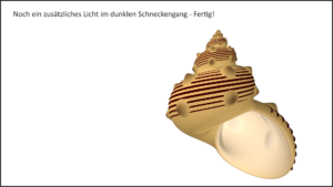Wie modelliert man Schneckenhäuser?