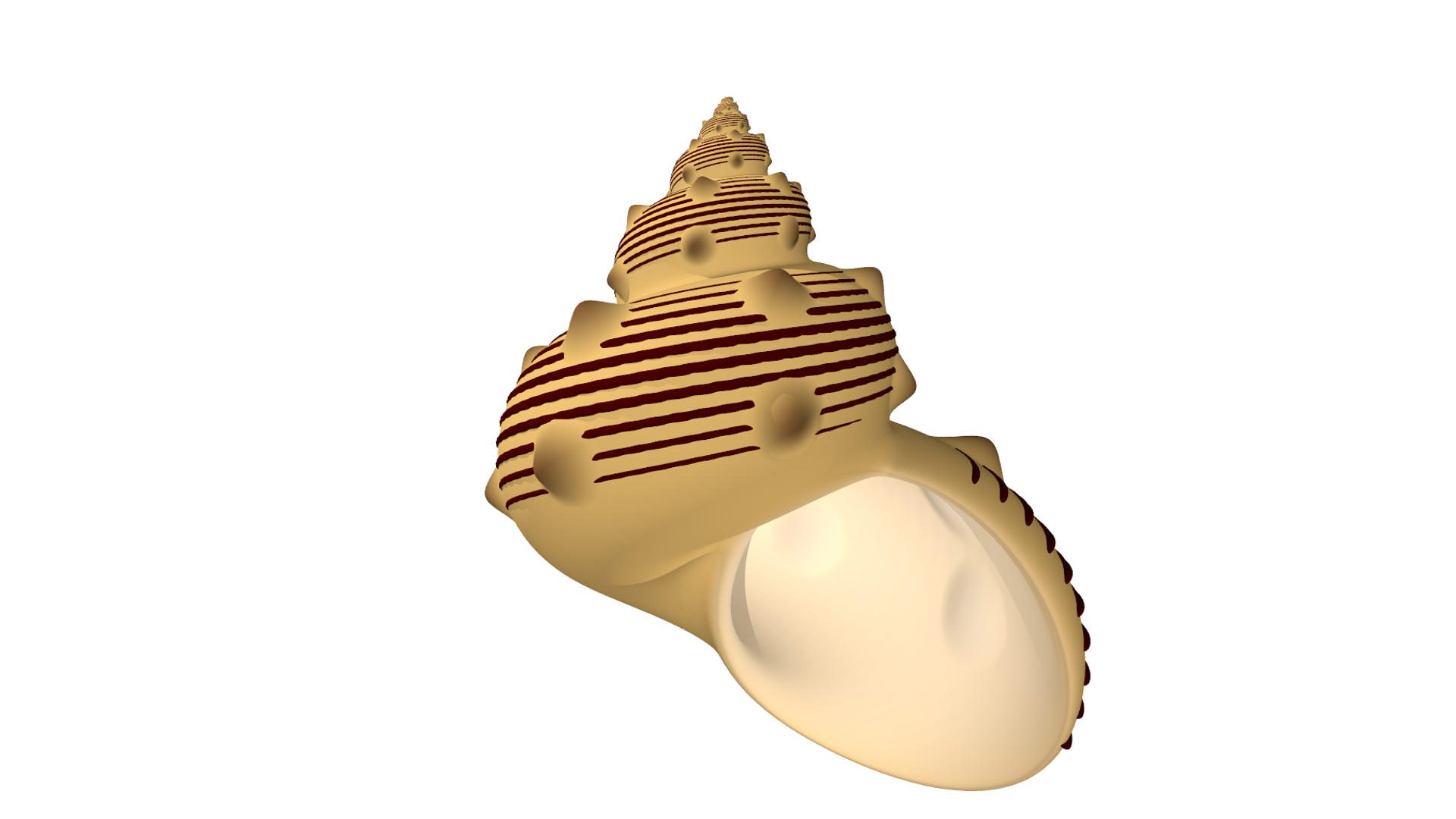 3D Modellierung: Schneckenhaus